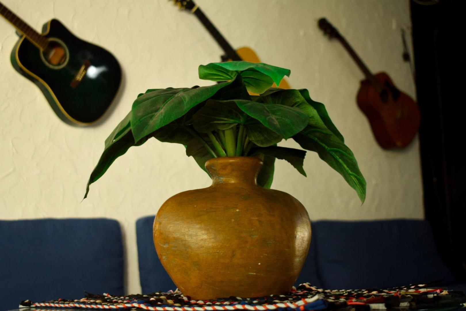 Hostal Loco Coco Loco Panamaváros Kültér fotó