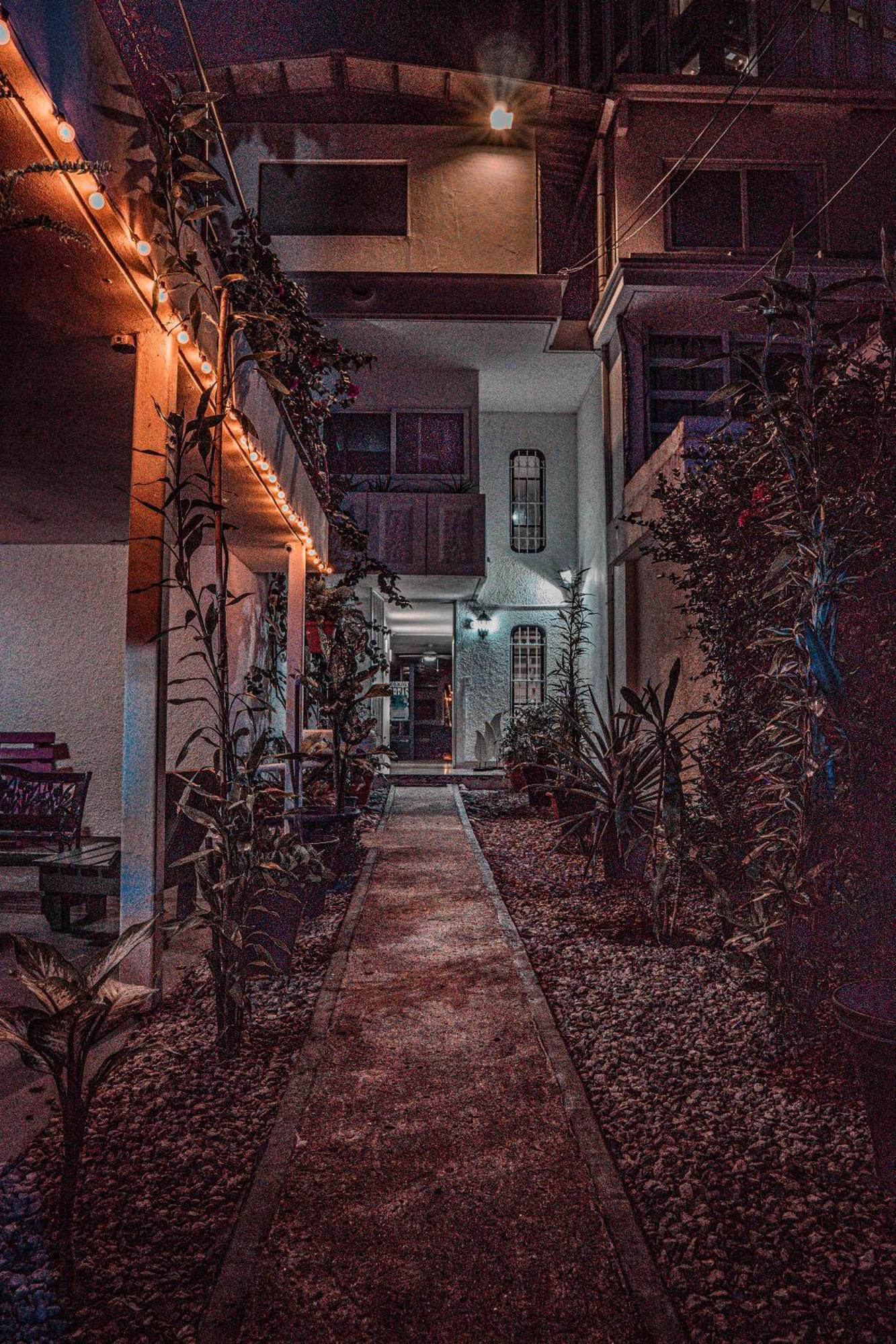 Hostal Loco Coco Loco Panamaváros Kültér fotó