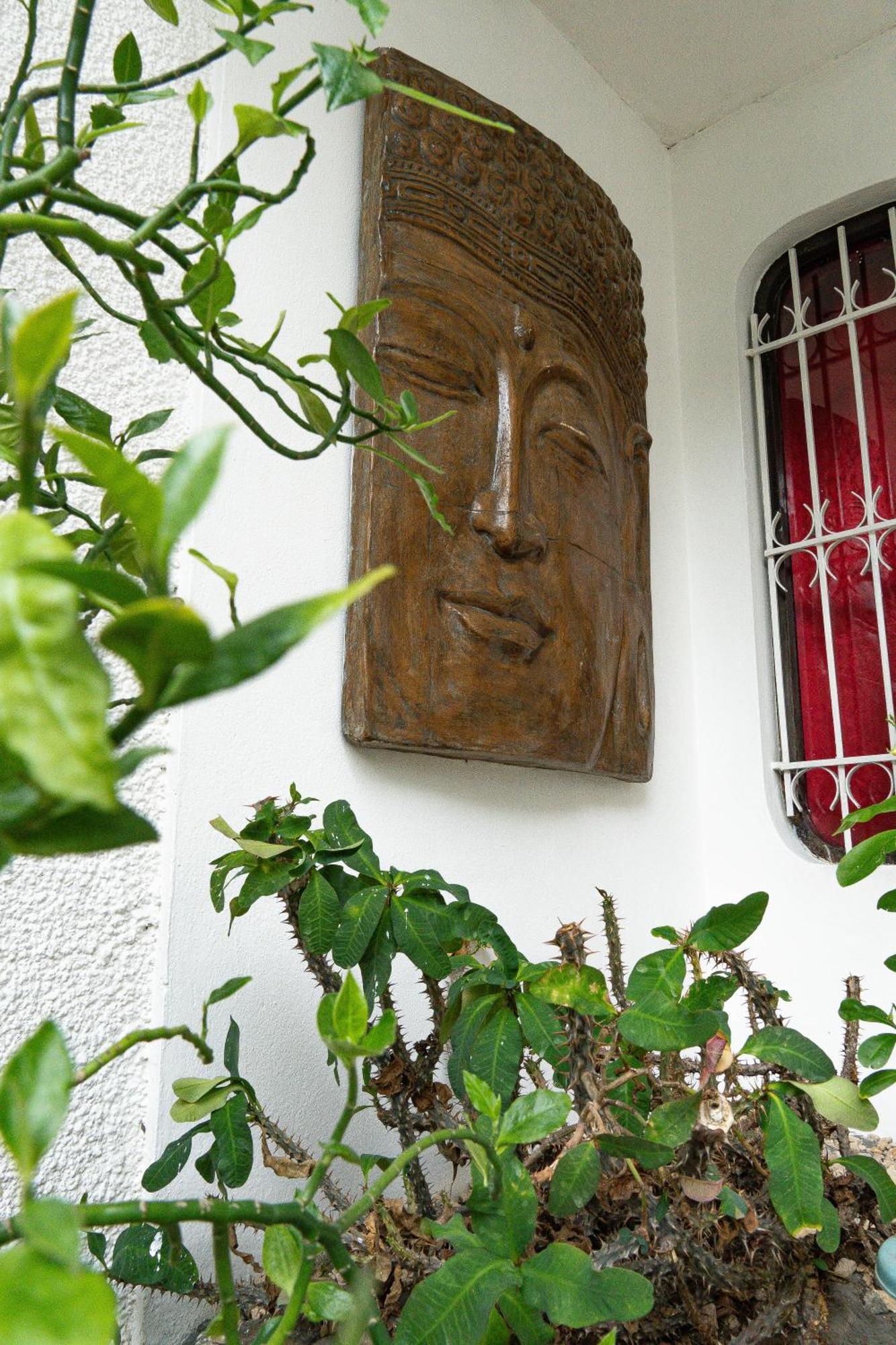 Hostal Loco Coco Loco Panamaváros Kültér fotó